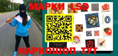 шишки Будённовск