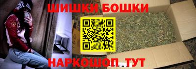 шишки Будённовск