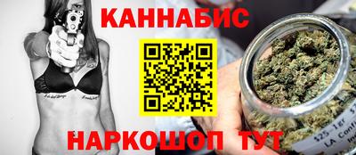 шишки Будённовск