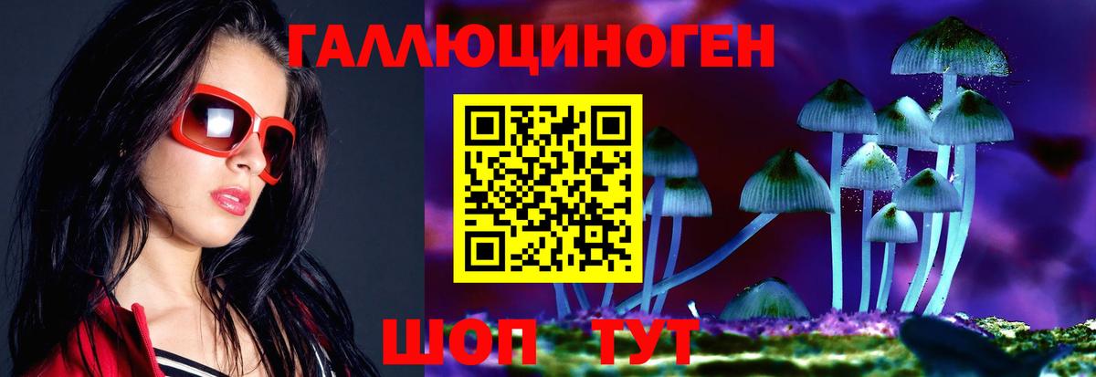 Галлюциногенные грибы Psilocybine cubensis Родники
